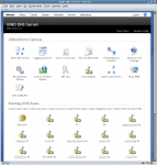 Bind DNS